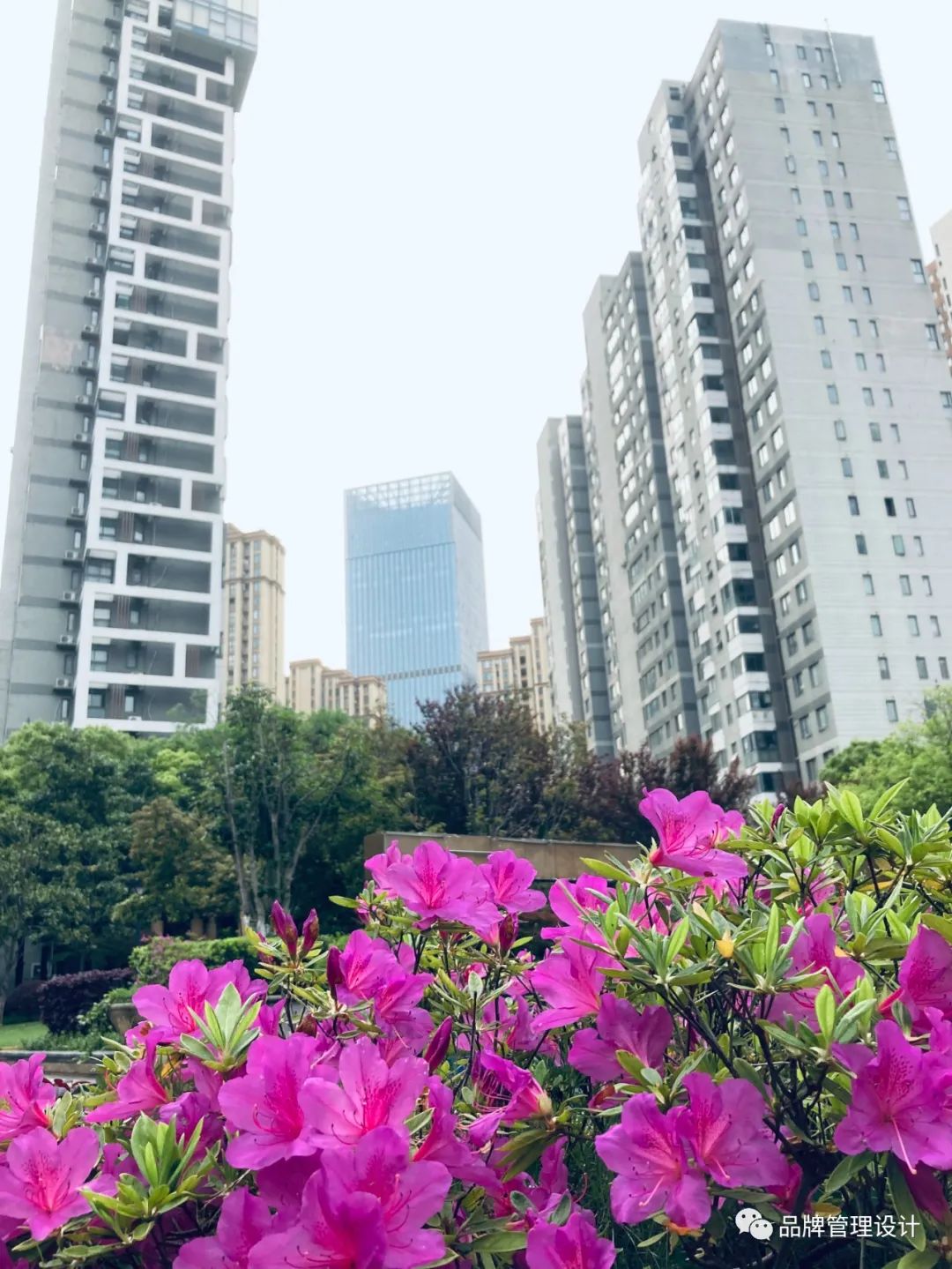 1683610962190838.jpg a5.jpg