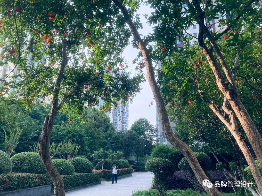 1685429961661165.jpg q6.jpg